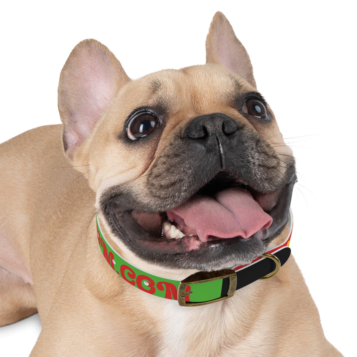 Colorful Dog Collar with Vibrant Design, Pet Accessory, Dog Training Gear, Gift for Dog Lovers, Unique Pet Fashion
