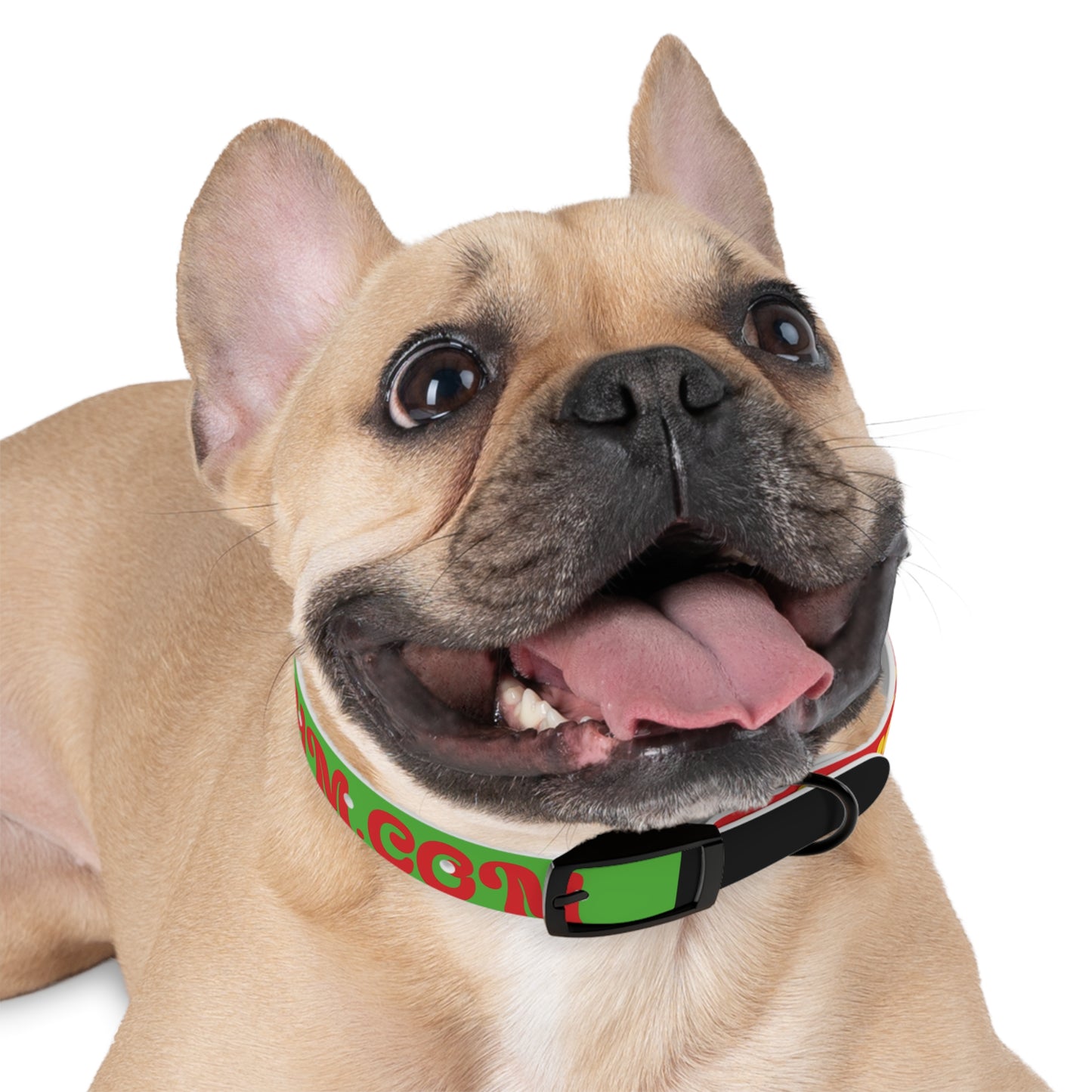 Colorful Dog Collar with Vibrant Design, Pet Accessory, Dog Training Gear, Gift for Dog Lovers, Unique Pet Fashion