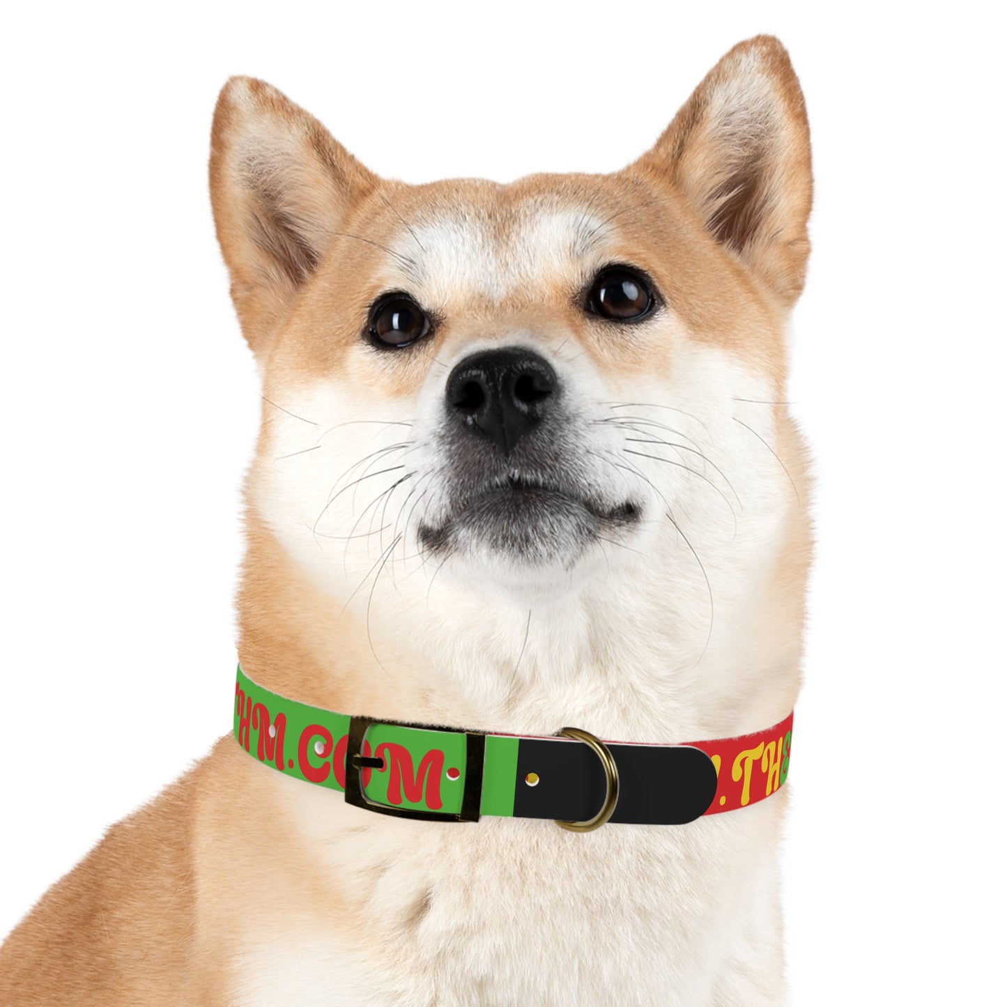 Colorful Dog Collar with Vibrant Design, Pet Accessory, Dog Training Gear, Gift for Dog Lovers, Unique Pet Fashion