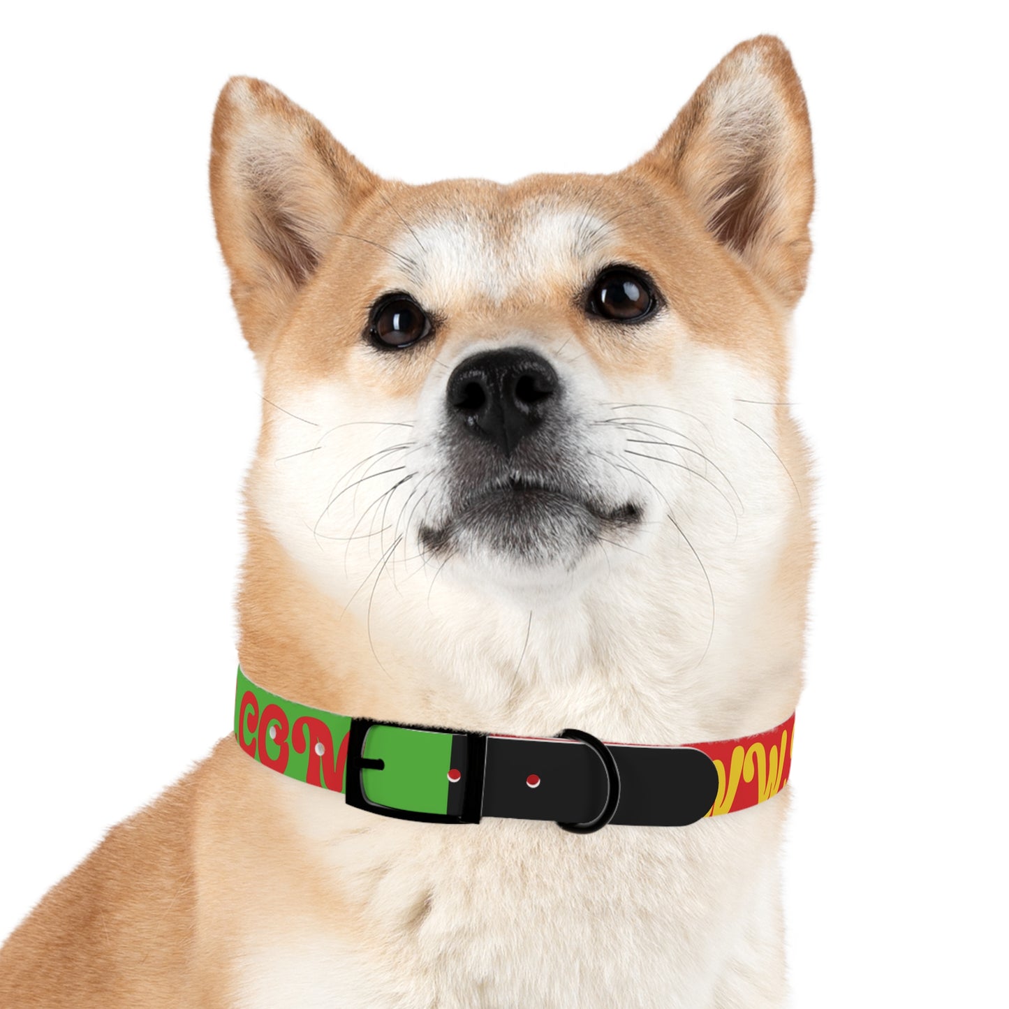 Colorful Dog Collar with Vibrant Design, Pet Accessory, Dog Training Gear, Gift for Dog Lovers, Unique Pet Fashion