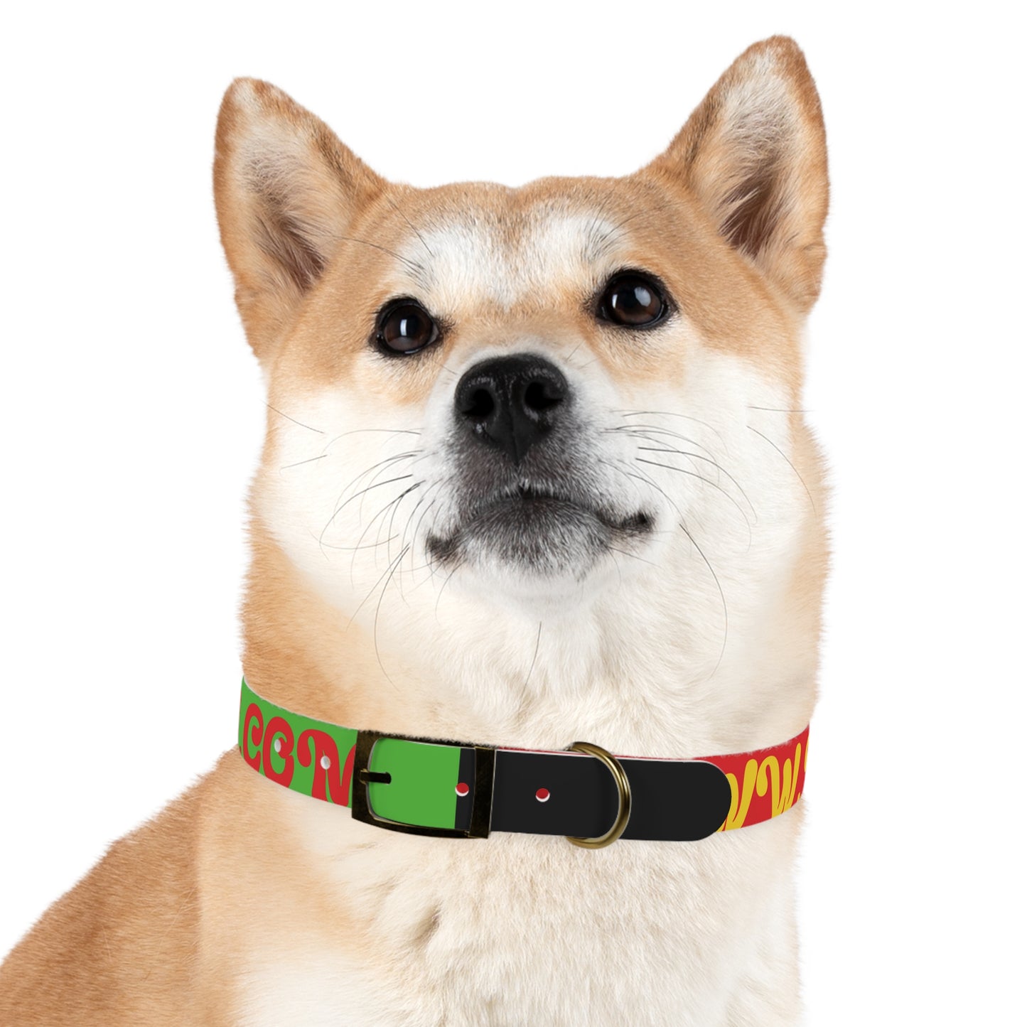 Colorful Dog Collar with Vibrant Design, Pet Accessory, Dog Training Gear, Gift for Dog Lovers, Unique Pet Fashion