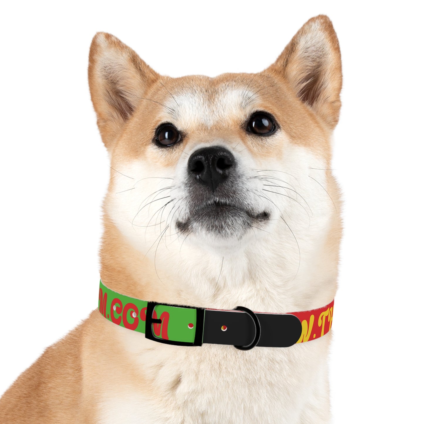 Colorful Dog Collar with Vibrant Design, Pet Accessory, Dog Training Gear, Gift for Dog Lovers, Unique Pet Fashion