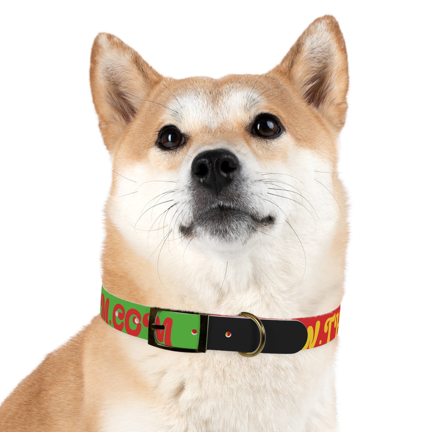 Colorful Dog Collar with Vibrant Design, Pet Accessory, Dog Training Gear, Gift for Dog Lovers, Unique Pet Fashion