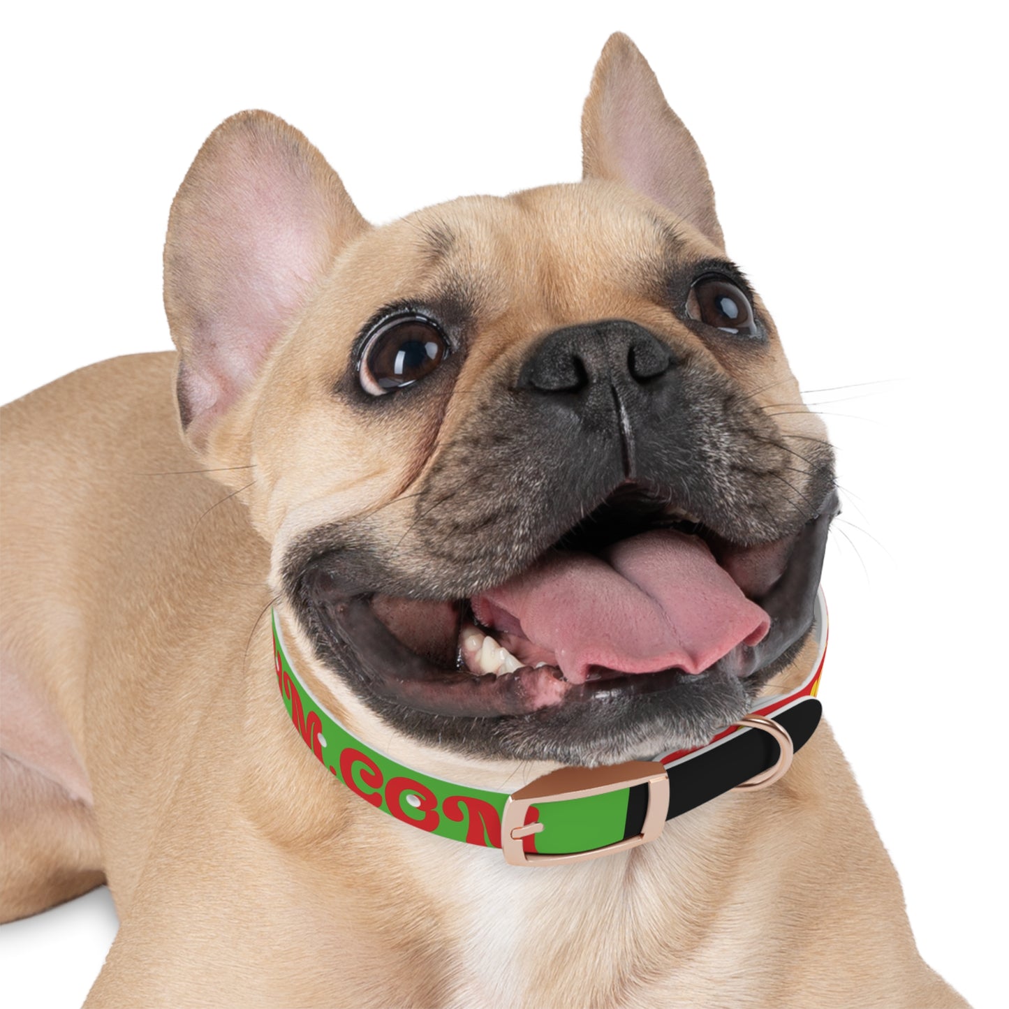 Colorful Dog Collar with Vibrant Design, Pet Accessory, Dog Training Gear, Gift for Dog Lovers, Unique Pet Fashion