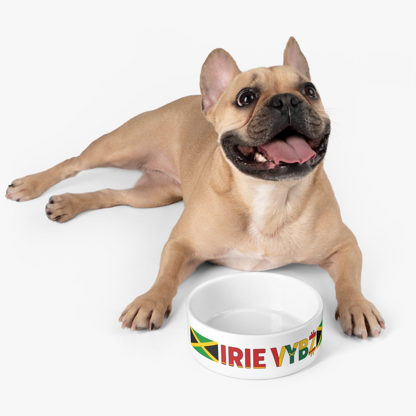 Jamaican Vibes Pet Bowl, Irie Vybz Dog Dish, Custom Pet Bowl, Cat Food Bowl, Eco-Friendly Pet Bowl, Pet Lovers Gift