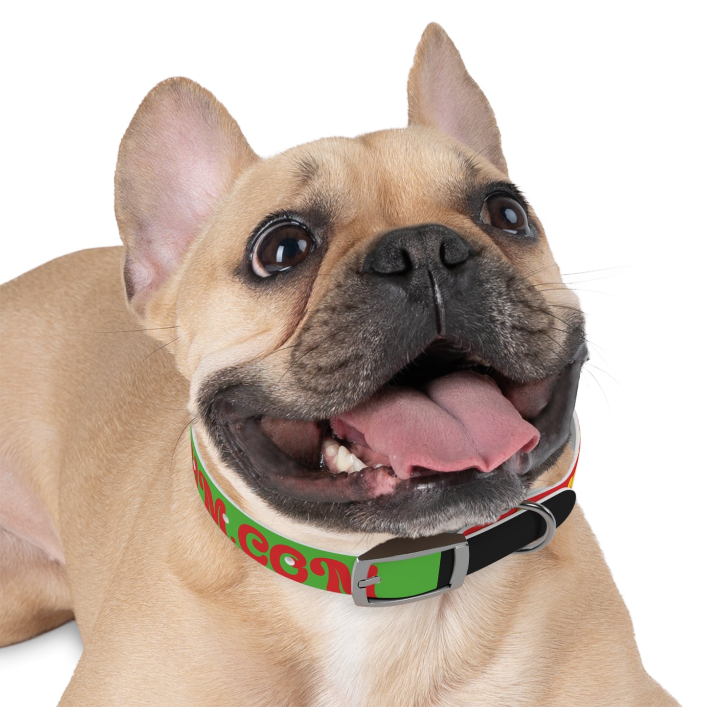 Colorful Dog Collar with Vibrant Design, Pet Accessory, Dog Training Gear, Gift for Dog Lovers, Unique Pet Fashion