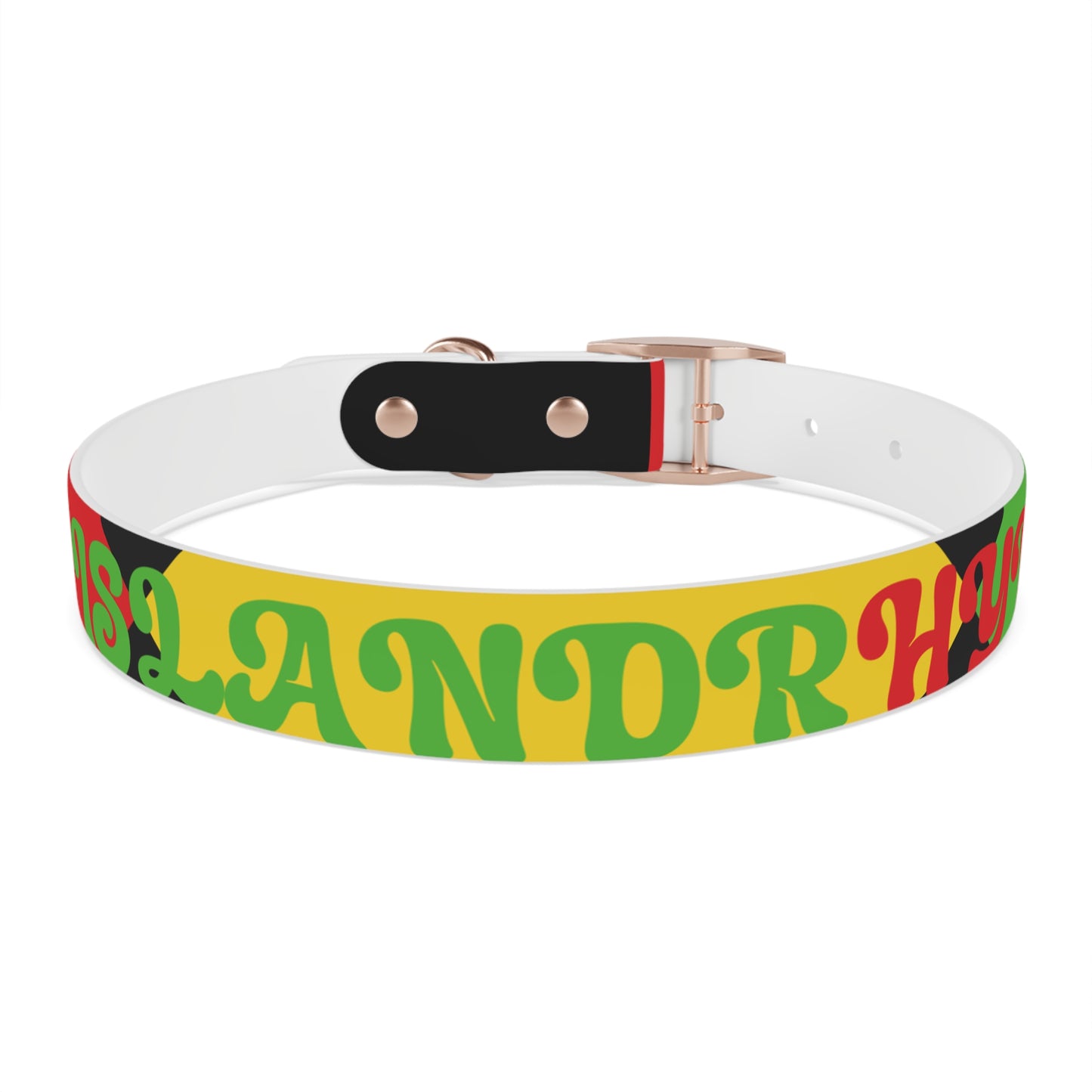 Colorful Dog Collar with Vibrant Design, Pet Accessory, Dog Training Gear, Gift for Dog Lovers, Unique Pet Fashion