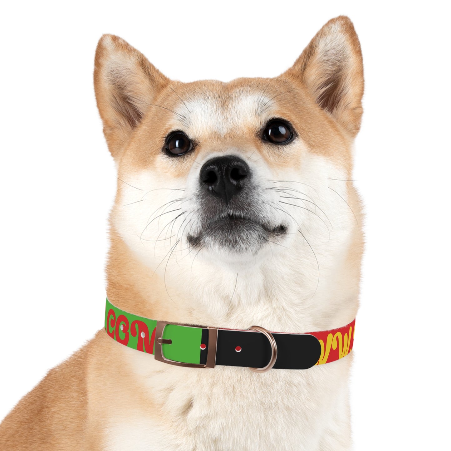 Colorful Dog Collar with Vibrant Design, Pet Accessory, Dog Training Gear, Gift for Dog Lovers, Unique Pet Fashion