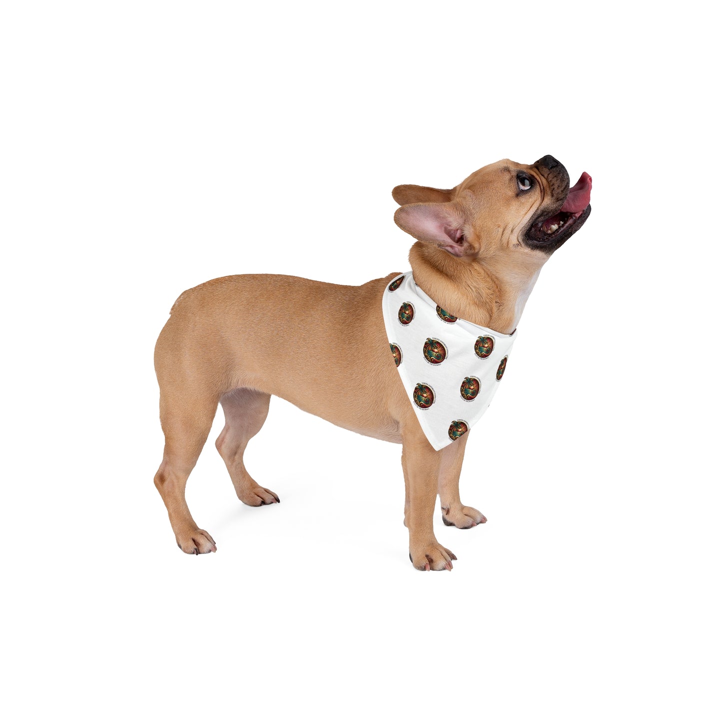 Pet Bandana - Island Rhythm Design
